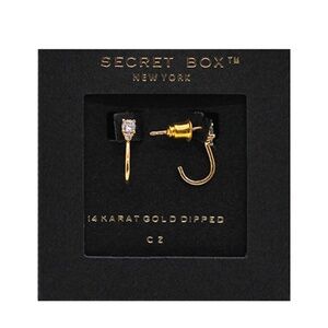 Hook Shape CZ Hoops